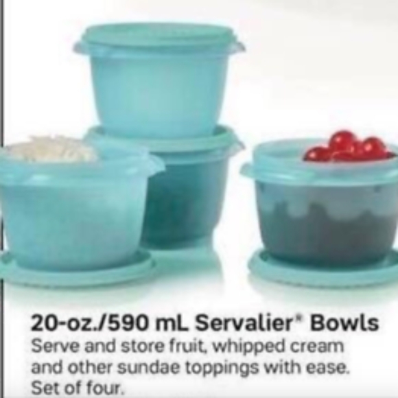 Set of 4-20oz Tupperware Servalier one touch bowls